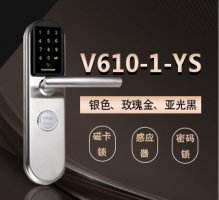 通通智能锁V610-1-YS家用防盗门锁