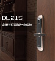 家用互联网指纹密码锁DL21S