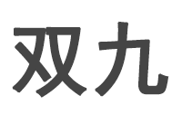 宁波双九指纹锁有限公司